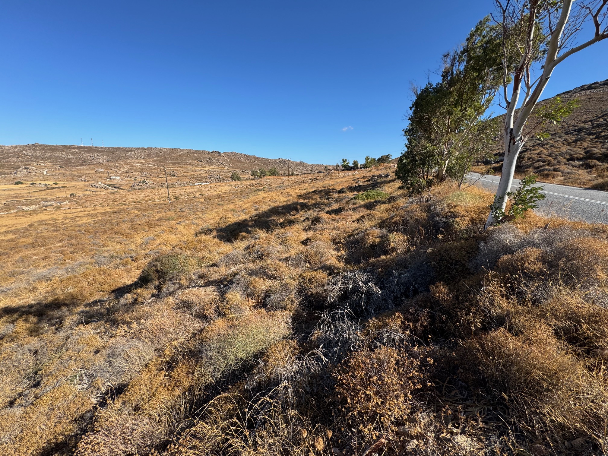 Αγροτεμάχιο 4140 τ.μ. σε πλειστηριασμό Δήμος Νάξου & Μικρών Κυκλάδων