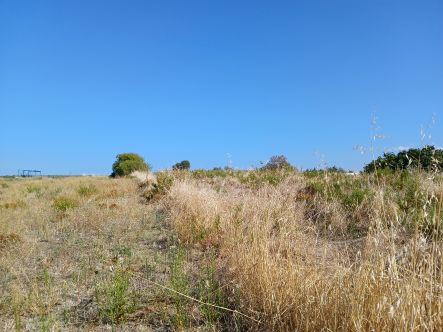 Αγροτεμάχιο 2500 sq.m. σε πλειστηριασμό Municipality of Nea Propontida