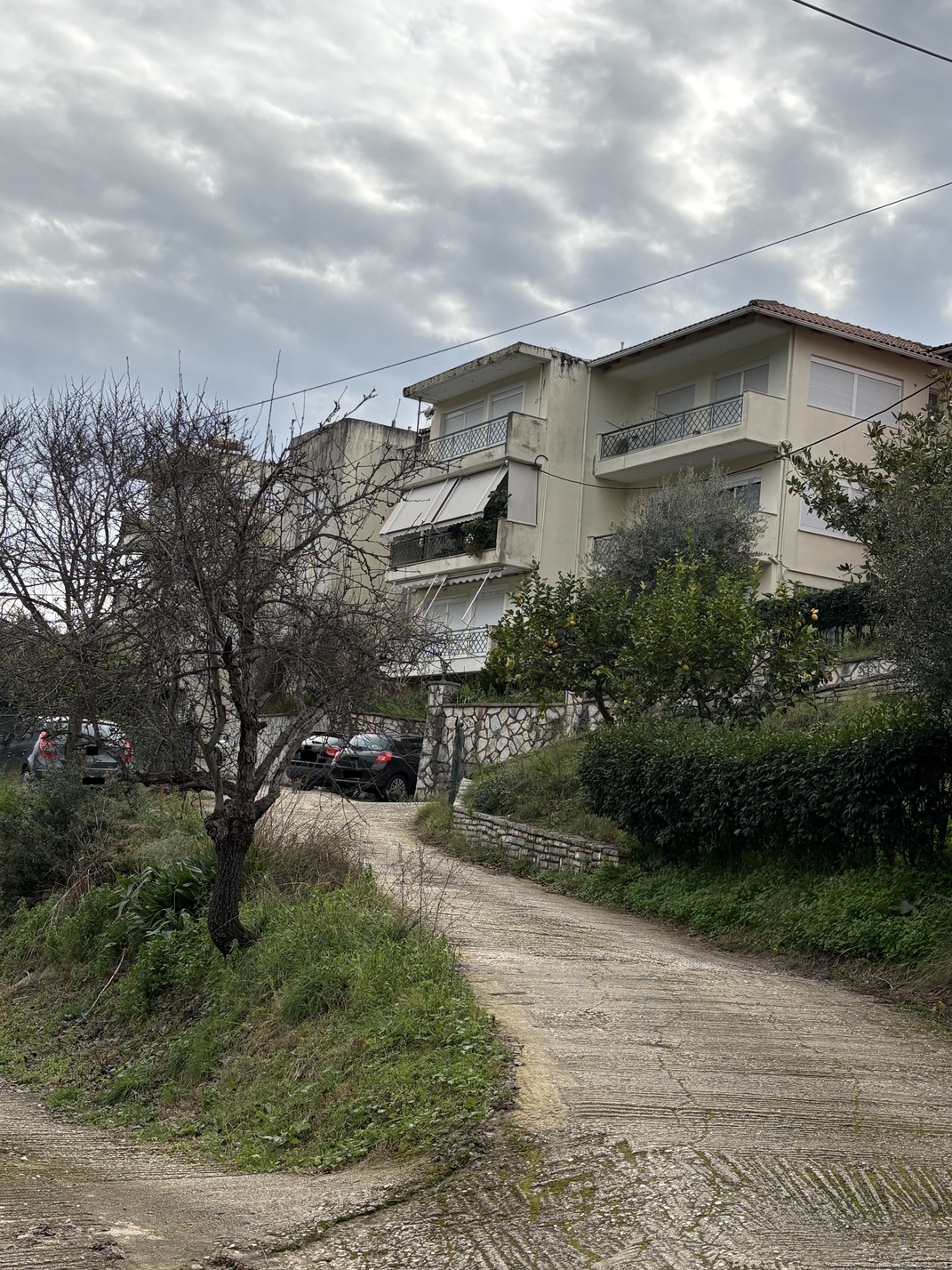photo0