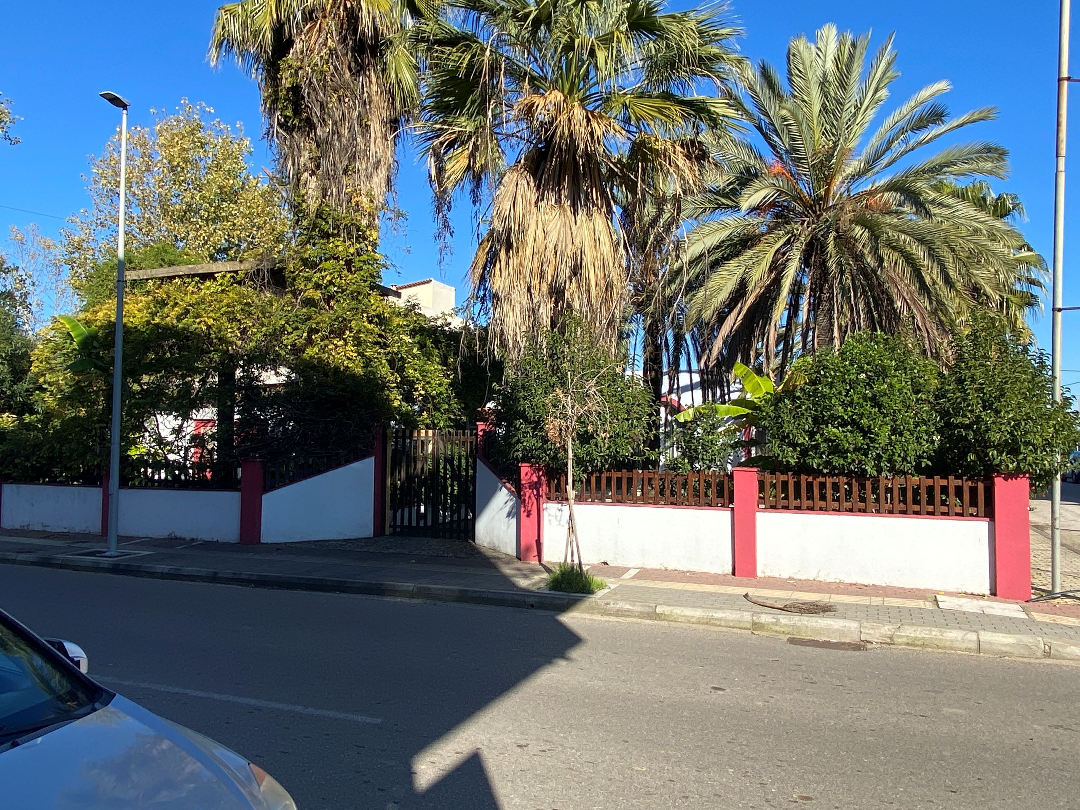 Κατάστημα 166.65 τ.μ. σε πλειστηριασμό Δήμος Πηνειού