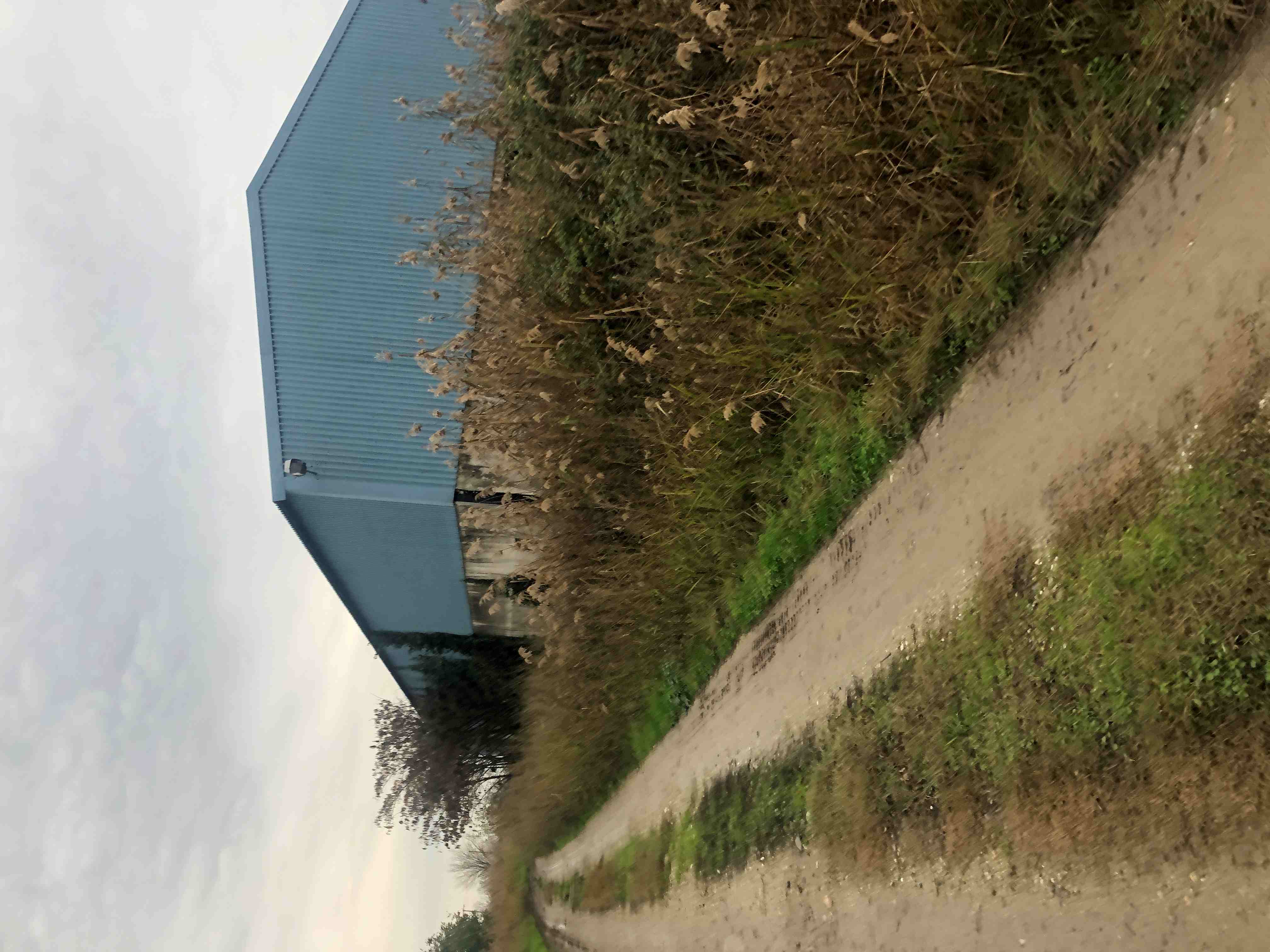 Αγροτεμάχιο με κτίσμα 5064 sq.m. σε πλειστηριασμό Municipality of Serres