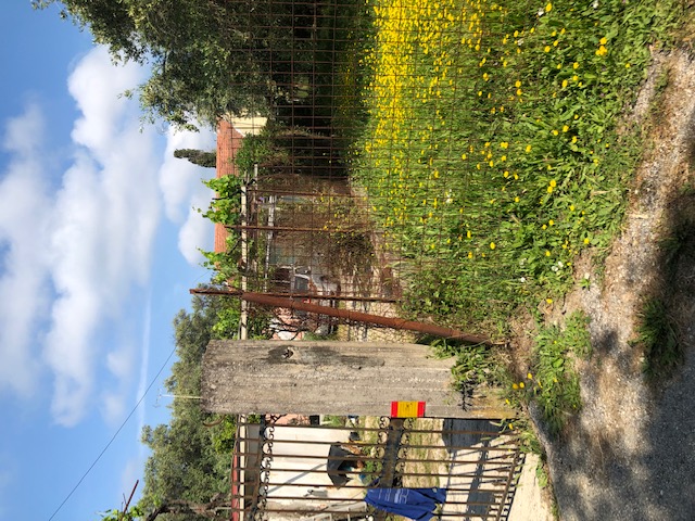 photo0
