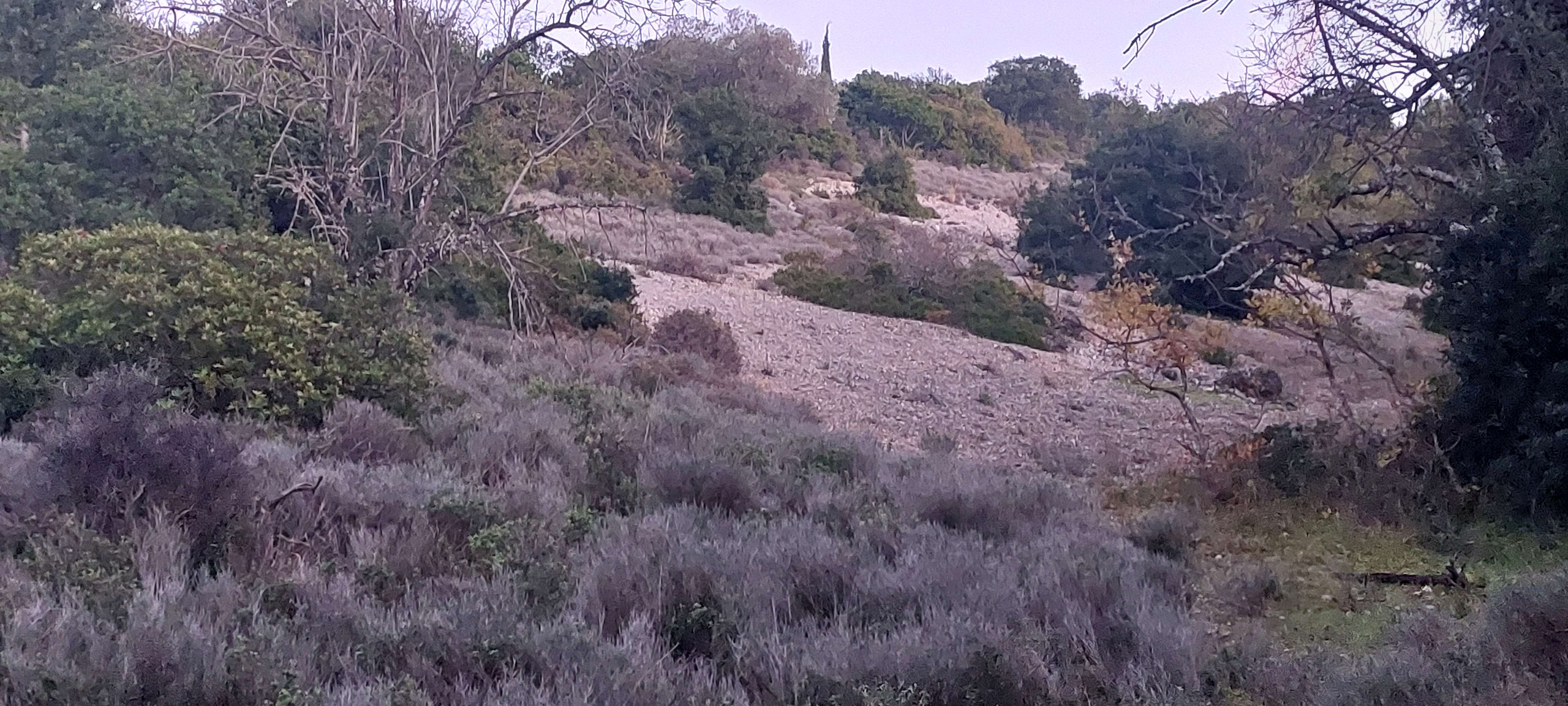 photo0