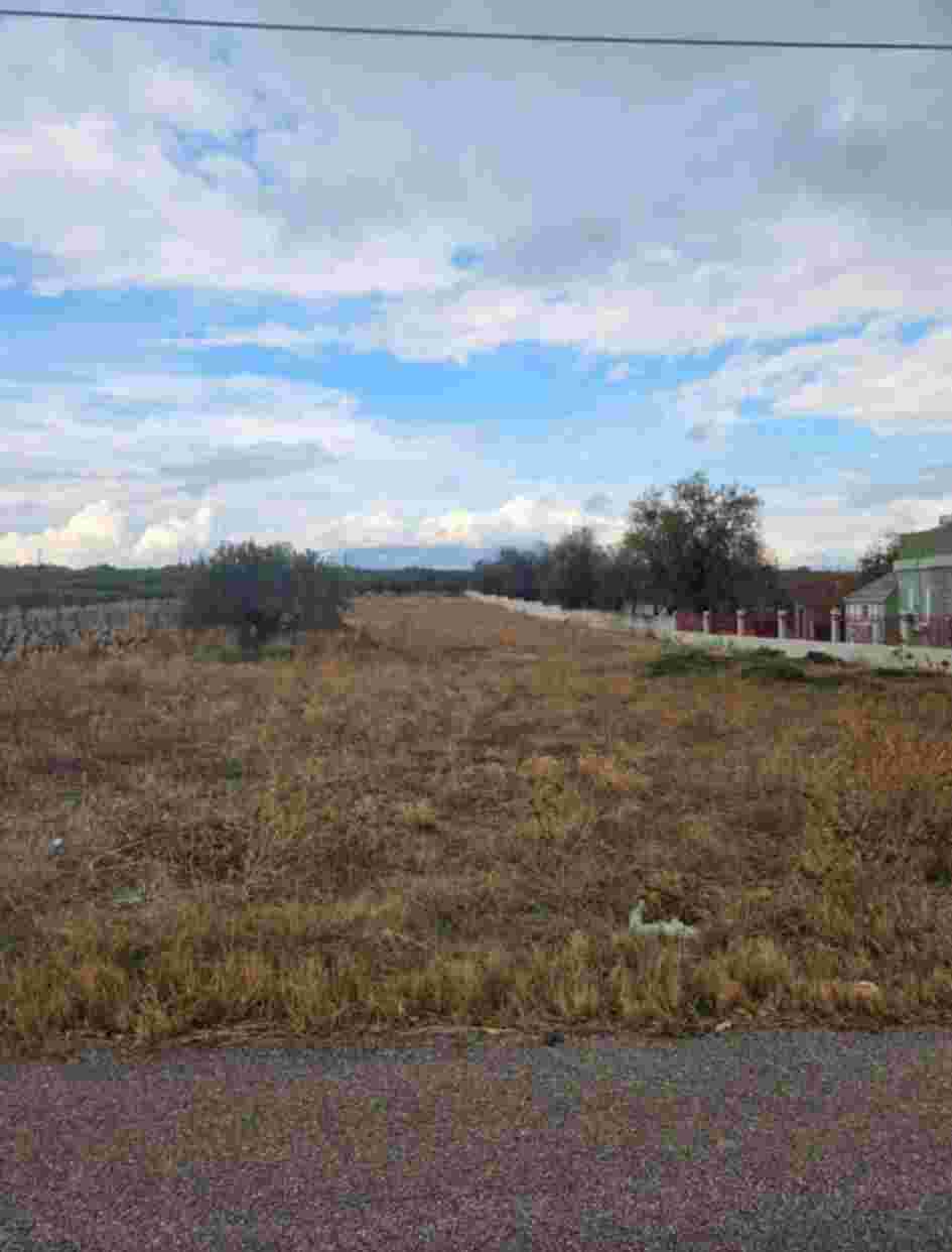 Αγροτεμάχιο 4454.25 sq.m. σε πλειστηριασμό Municipality of Corinthia