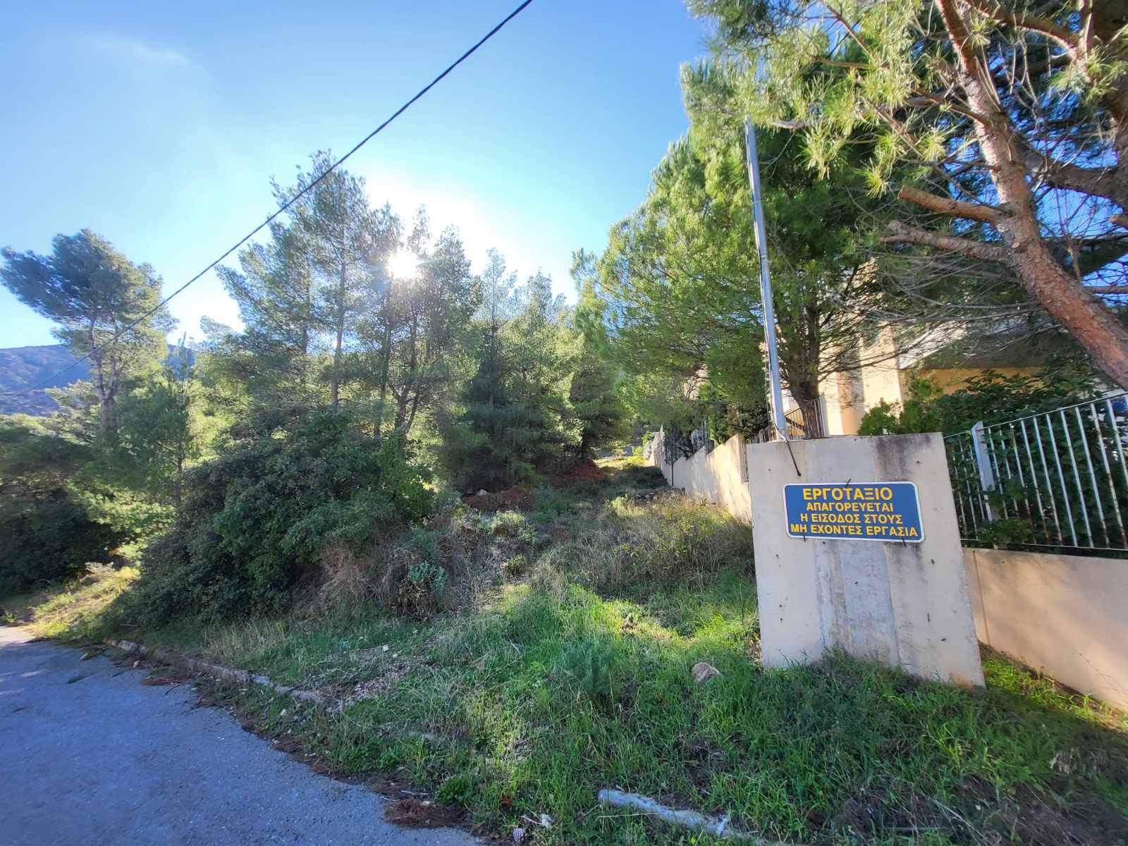 Οικόπεδο 1542.92 τ.μ. σε πλειστηριασμό Δήμος Διονύσου