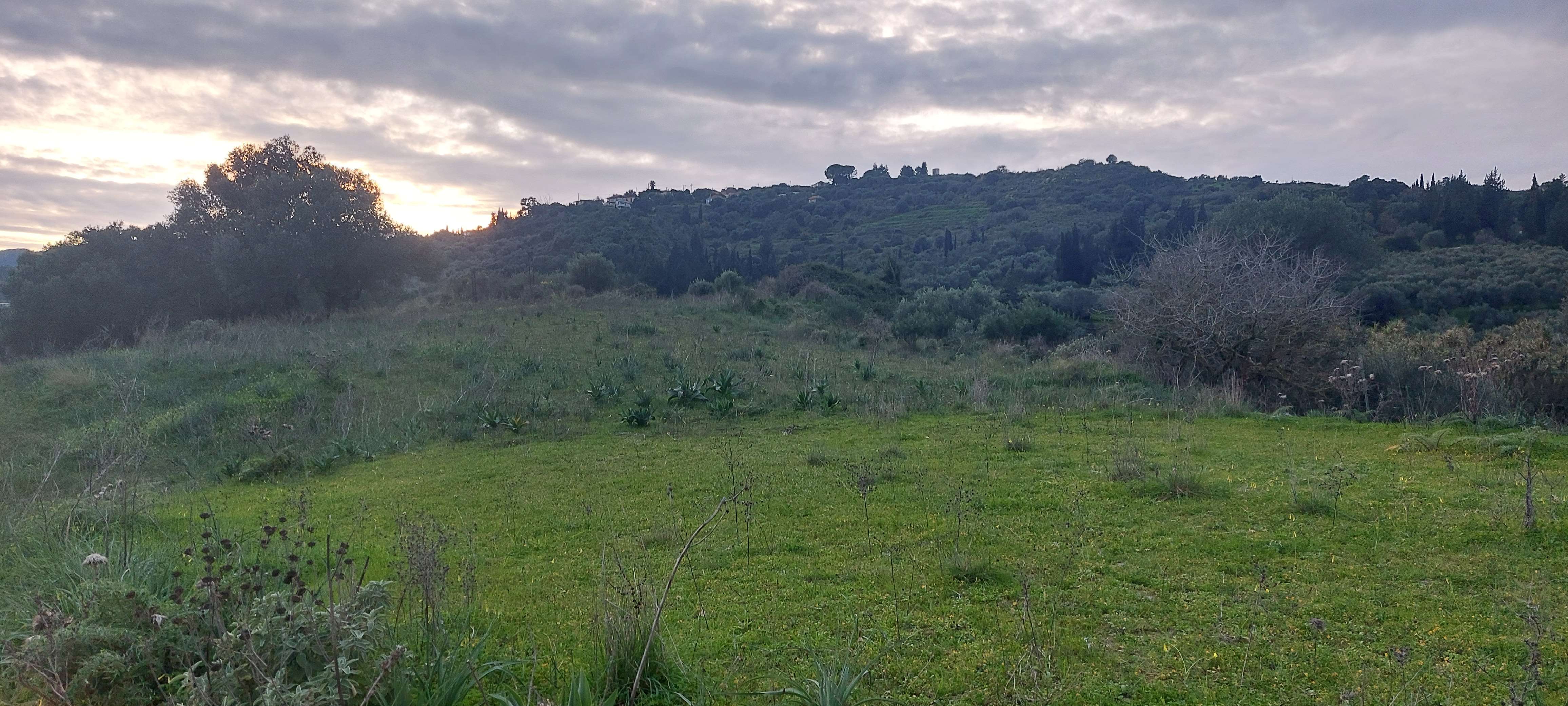 Αγροτεμάχιο 4027 τ.μ. σε πλειστηριασμό Δήμος Κεφαλονιάς