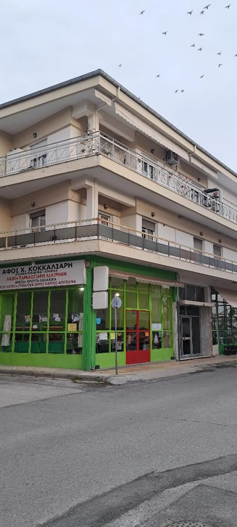 Κατοικία 221.49 τ.μ. σε πλειστηριασμό Δήμος Κοζάνης
