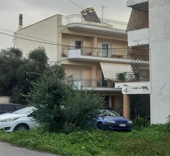 Οικόπεδο με κτίσμα 169 τ.μ. σε πλειστηριασμό Δήμος Καλαμάτας