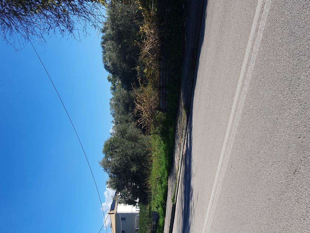 photo1