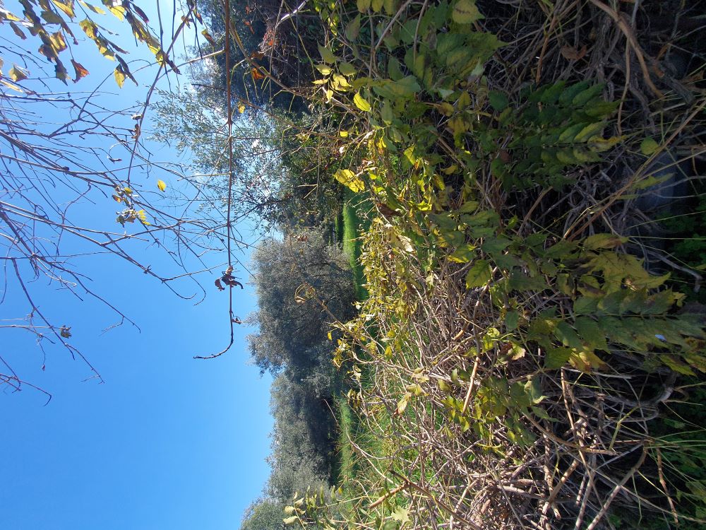 photo3
