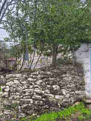 photo1