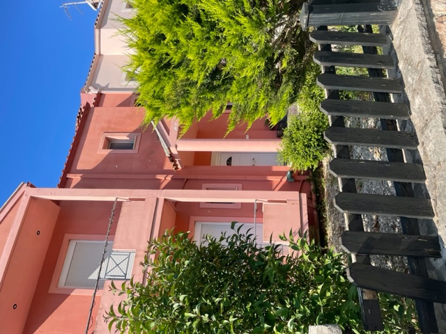 photo1
