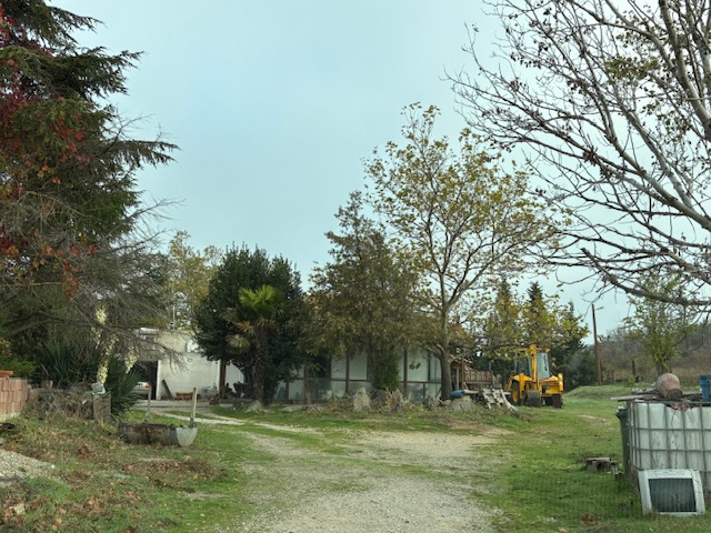photo1