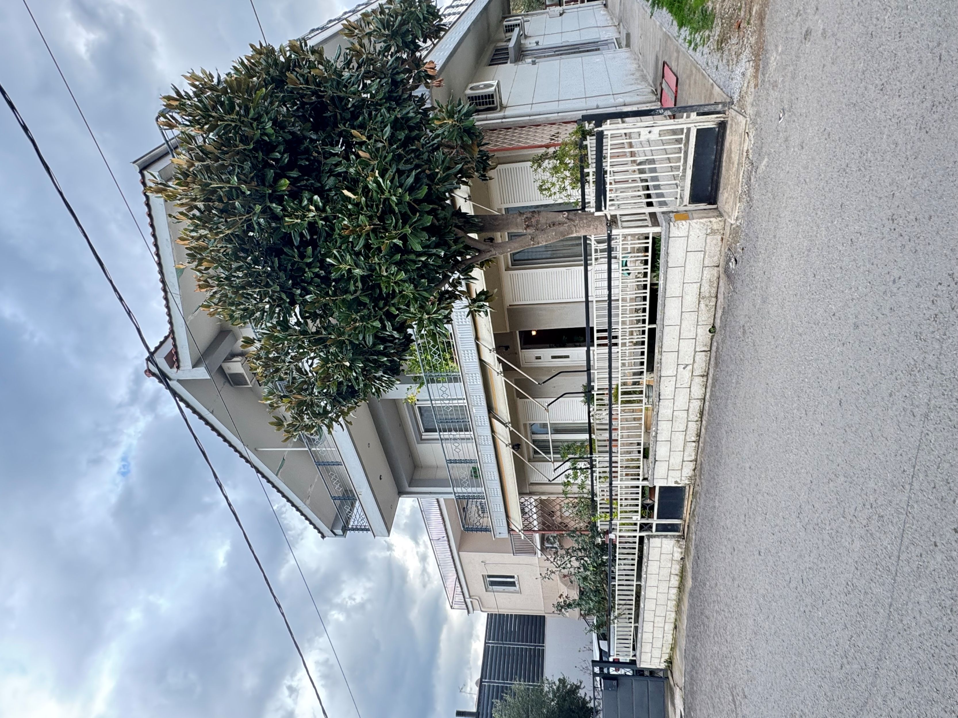 photo1