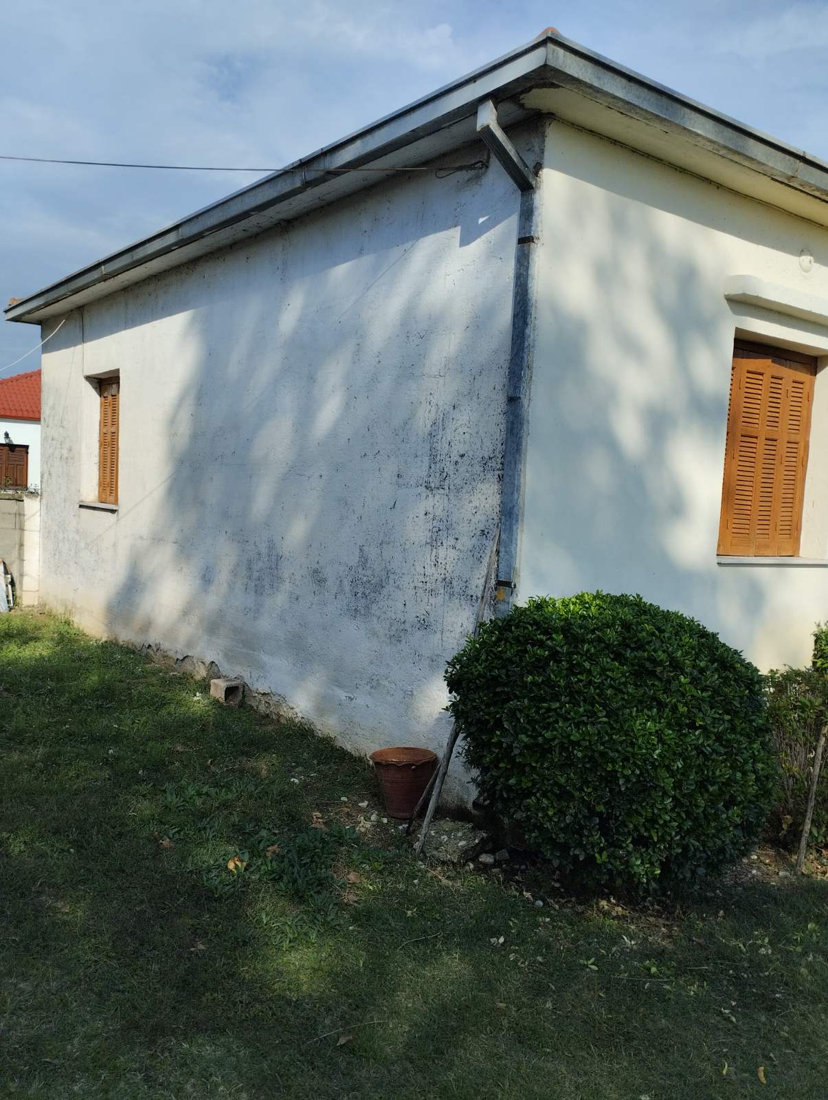 photo4
