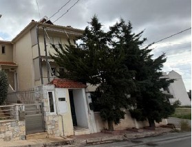photo1