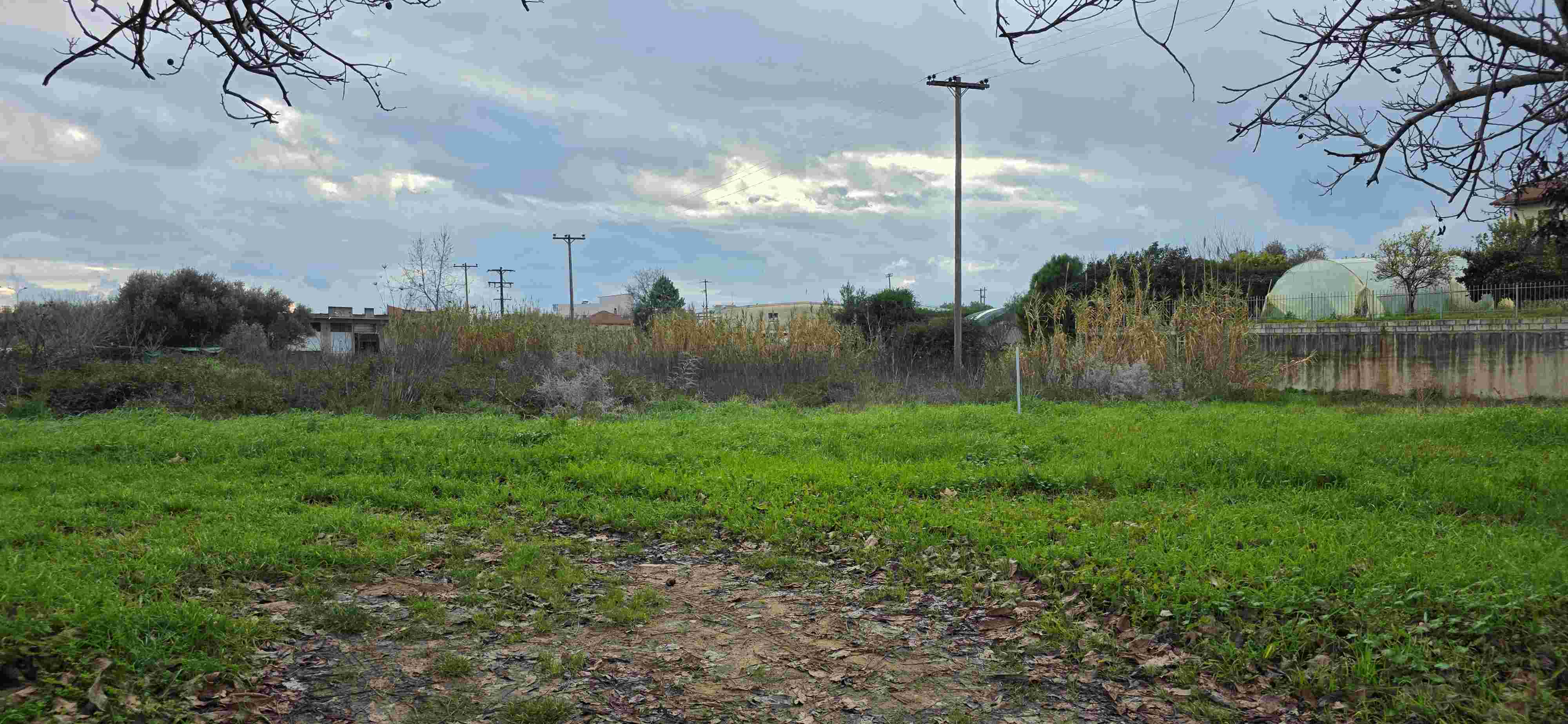 photo13