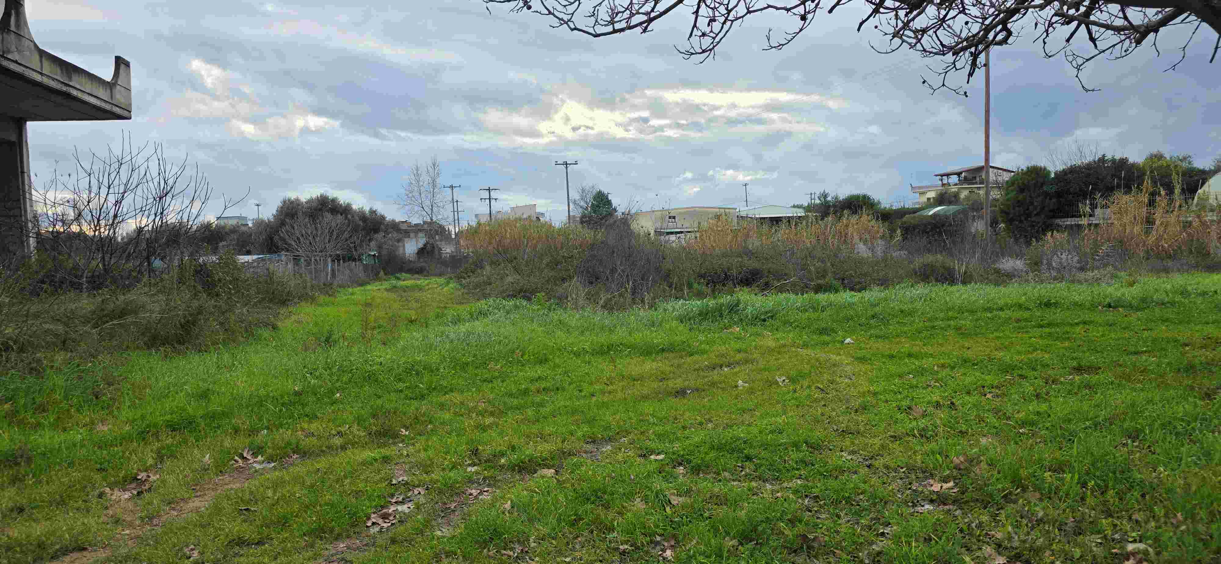 photo2