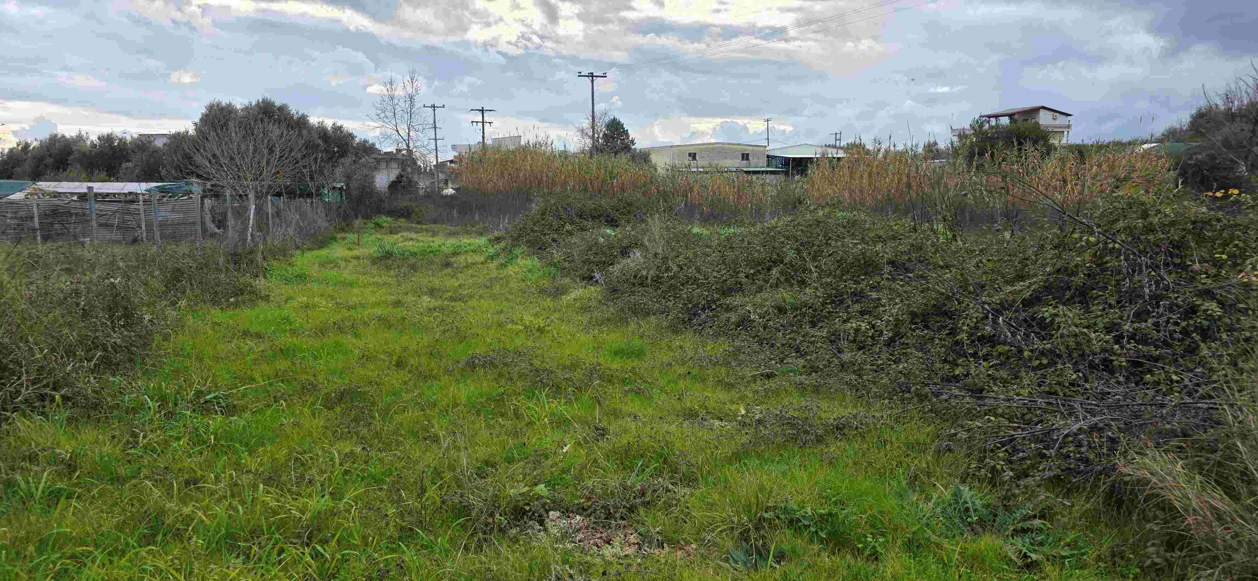 photo3
