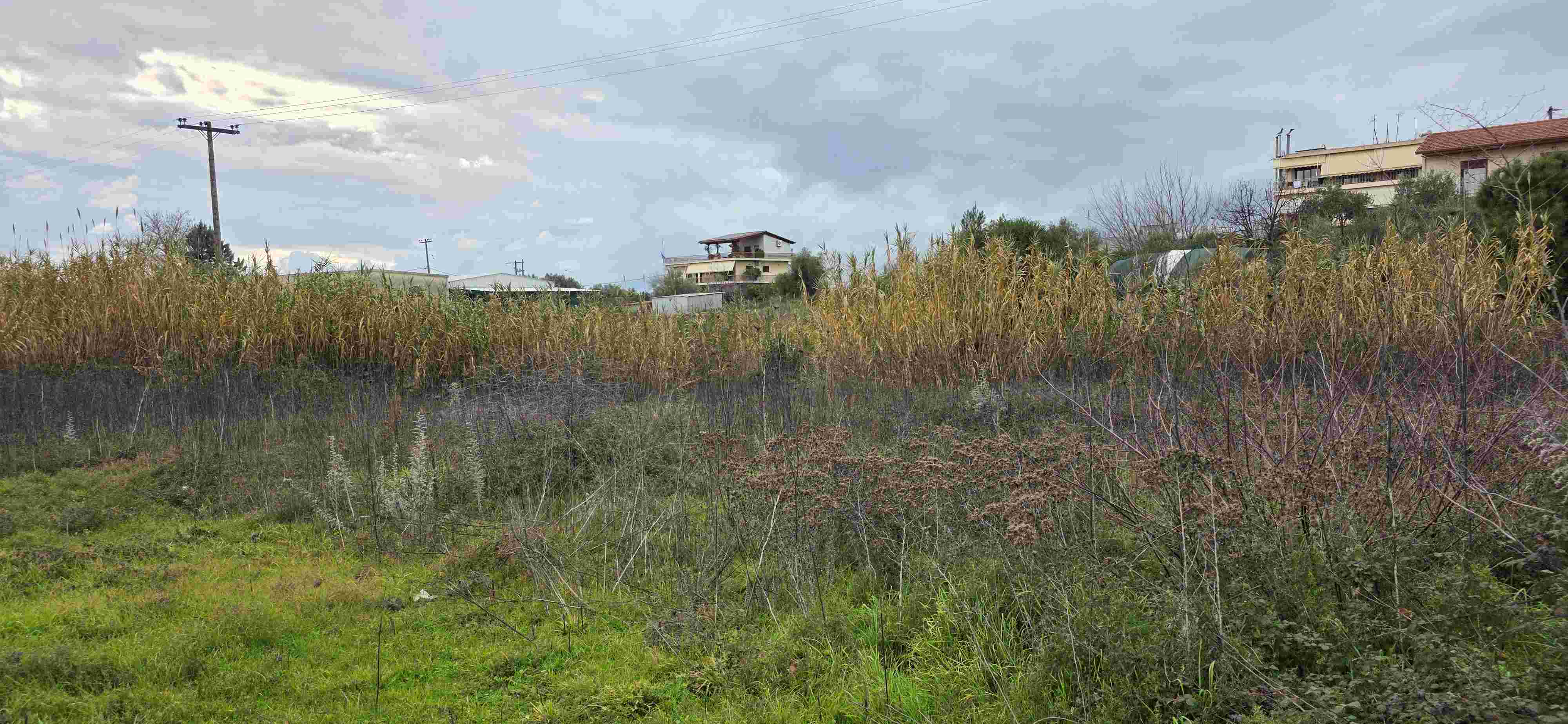 photo7