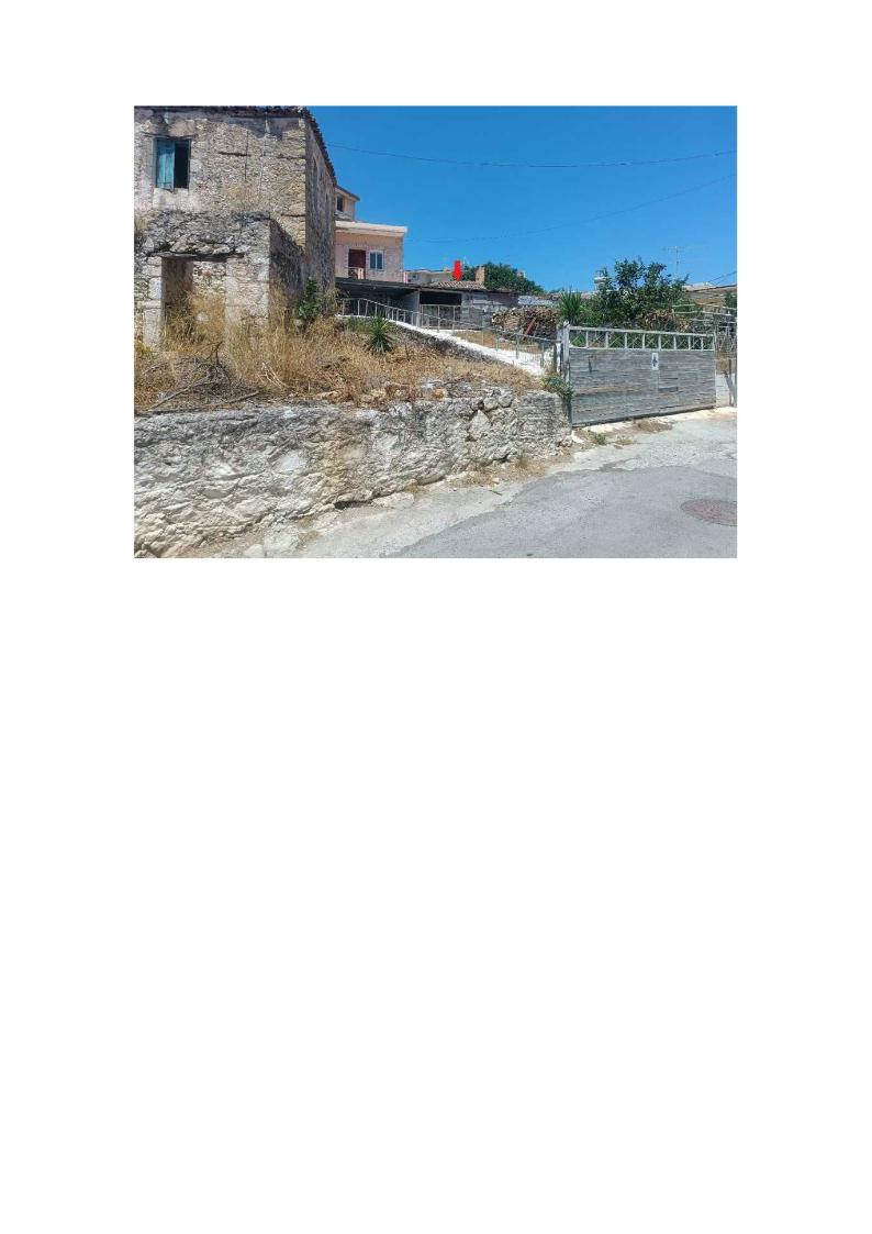 photo18