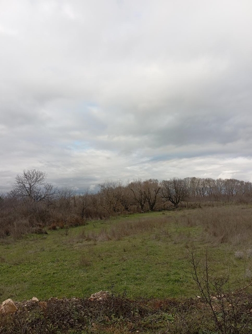 photo0
