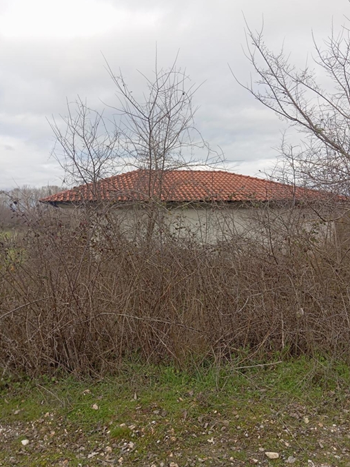 photo1