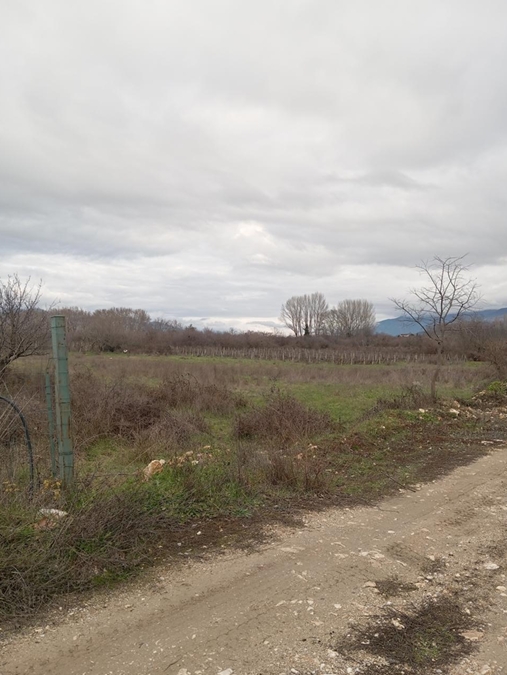 photo1
