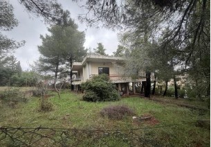 photo2