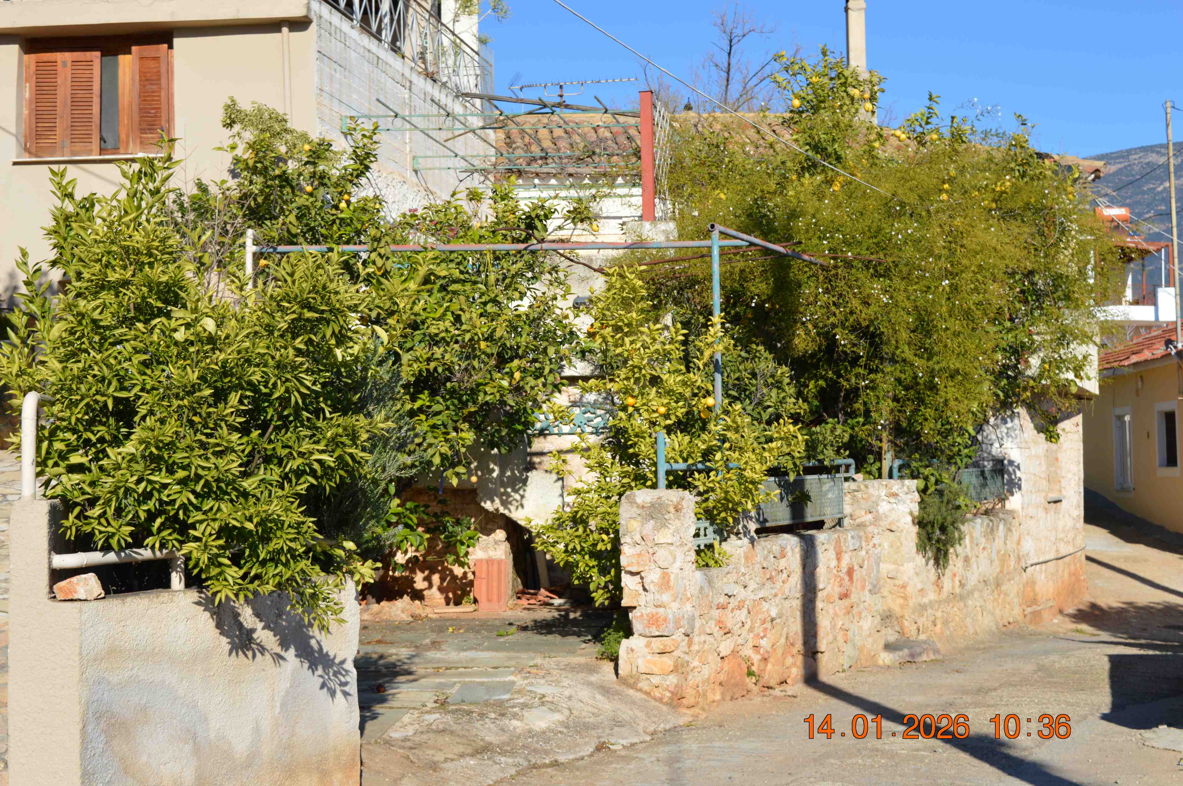 photo2