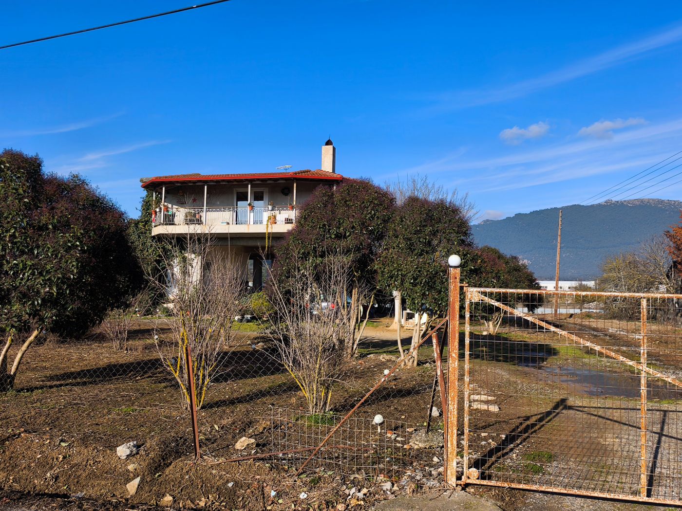 photo0