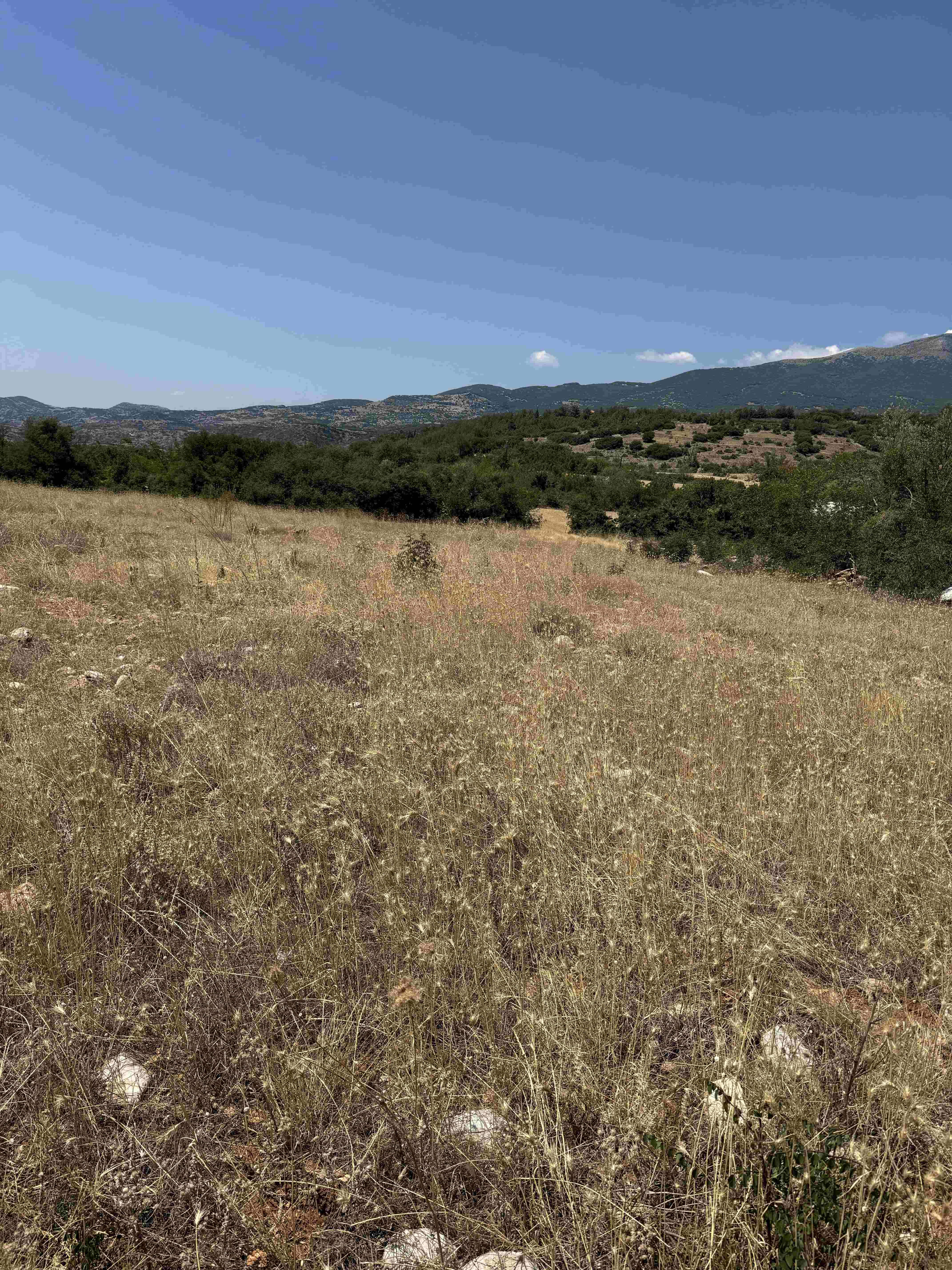 photo0