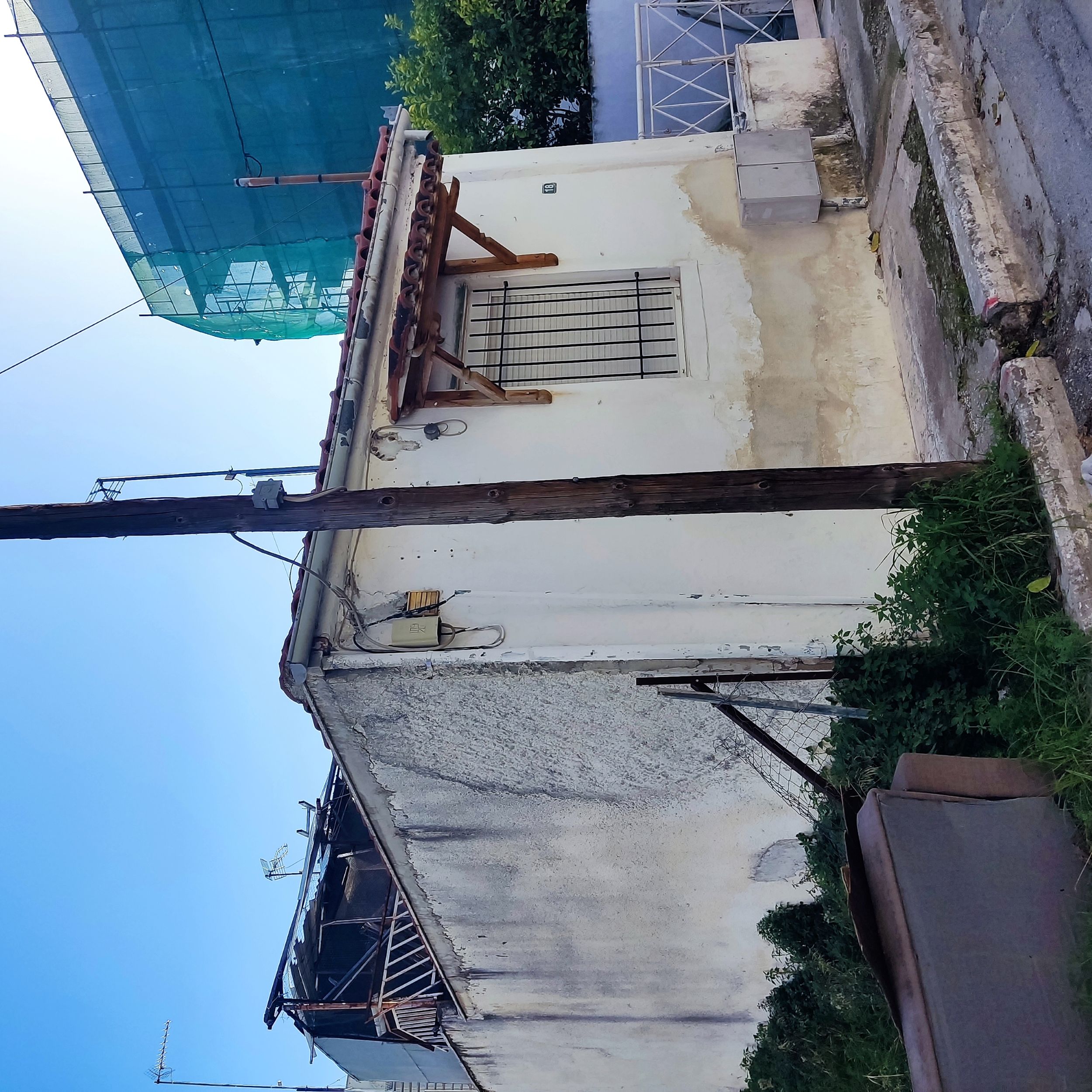 photo1
