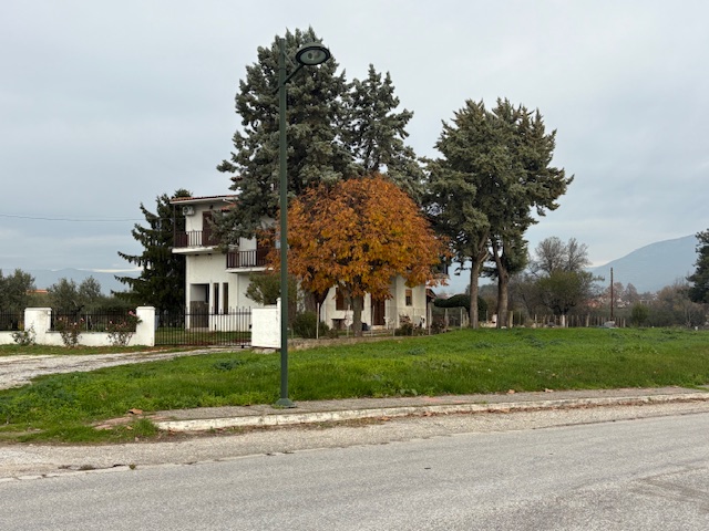 photo0