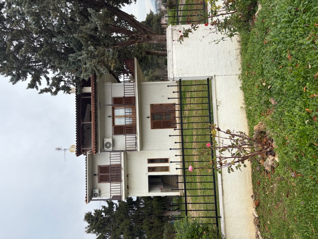 photo2