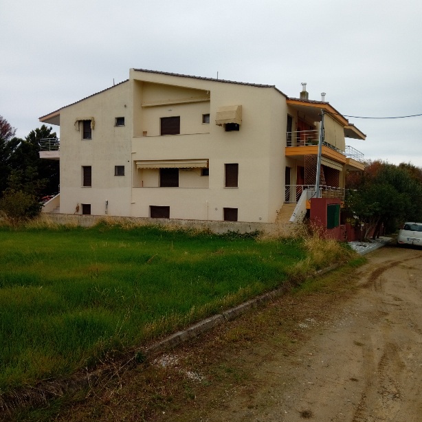photo1