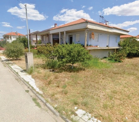 photo1