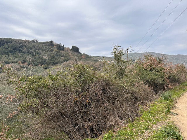 photo4