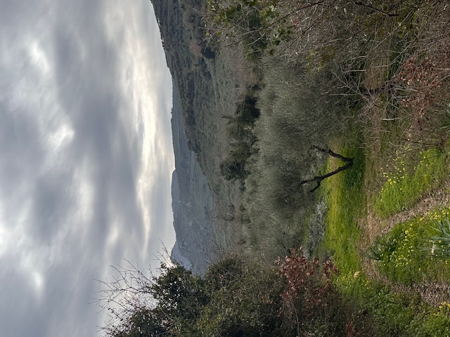 photo5