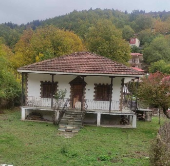 photo1