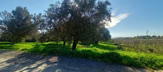 photo2