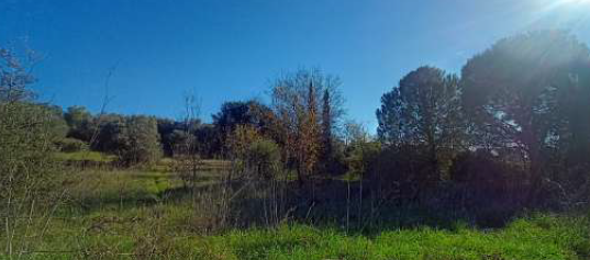 photo2