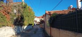 photo1