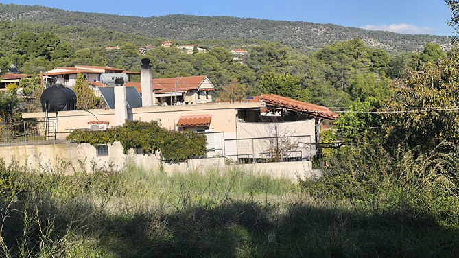 photo0