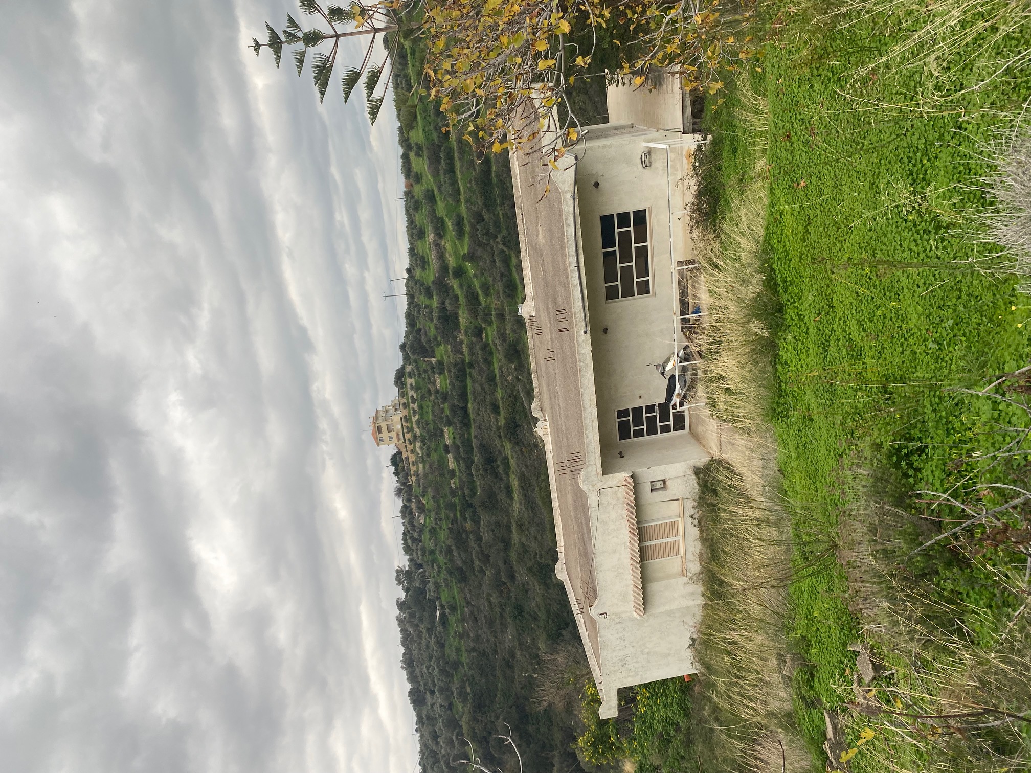 photo0