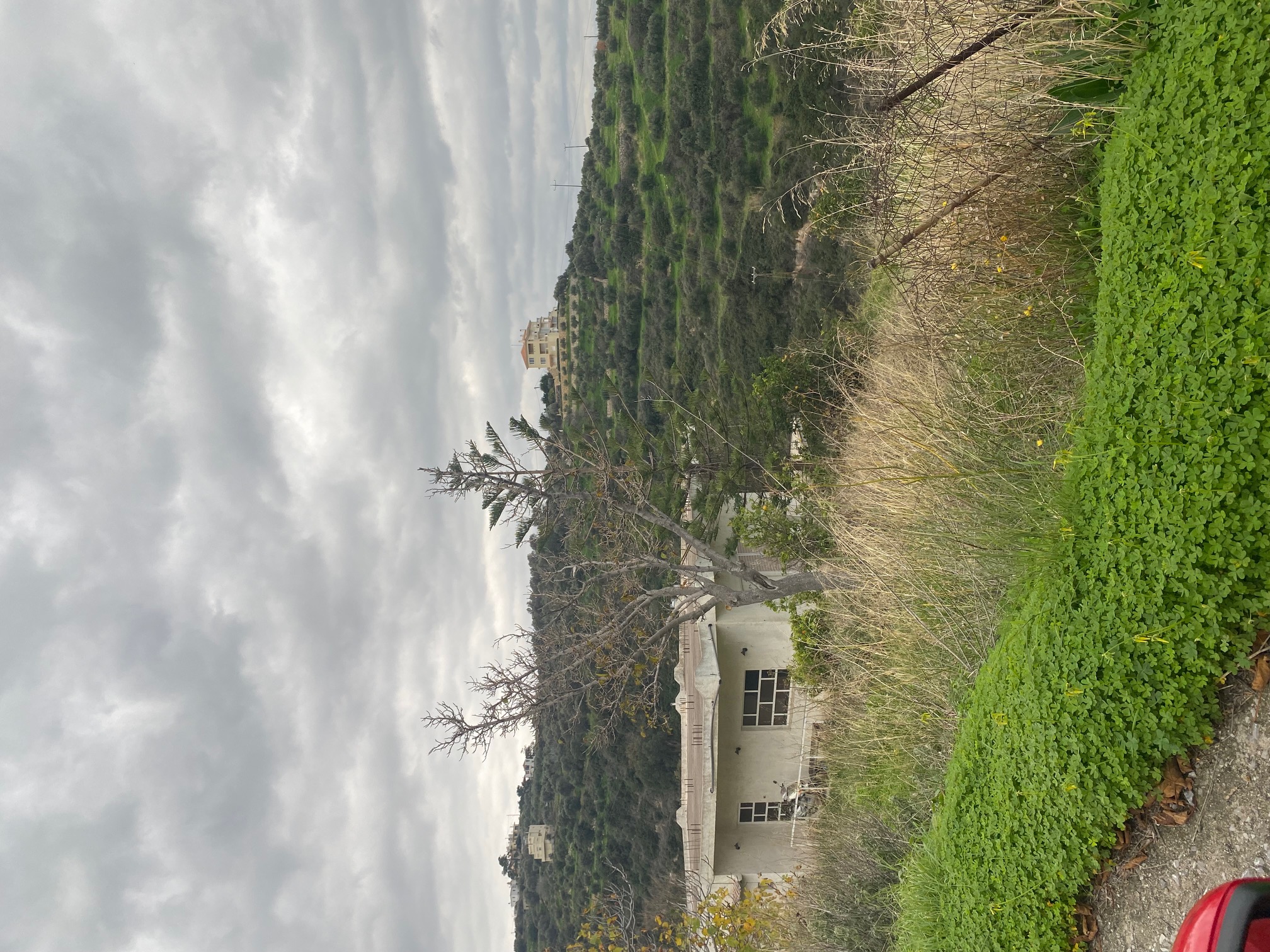 photo1