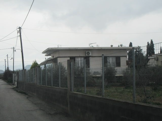 photo1