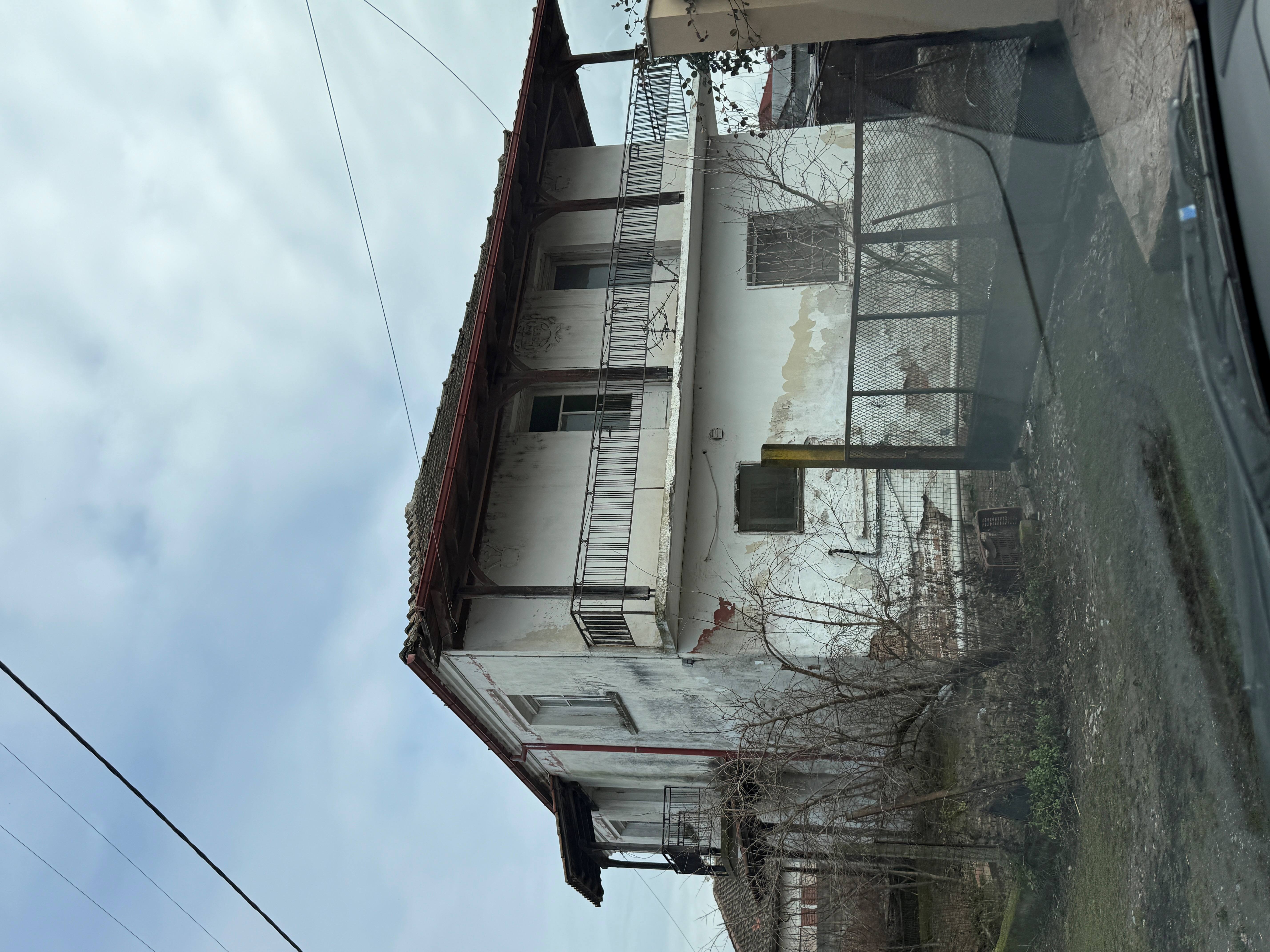 photo1