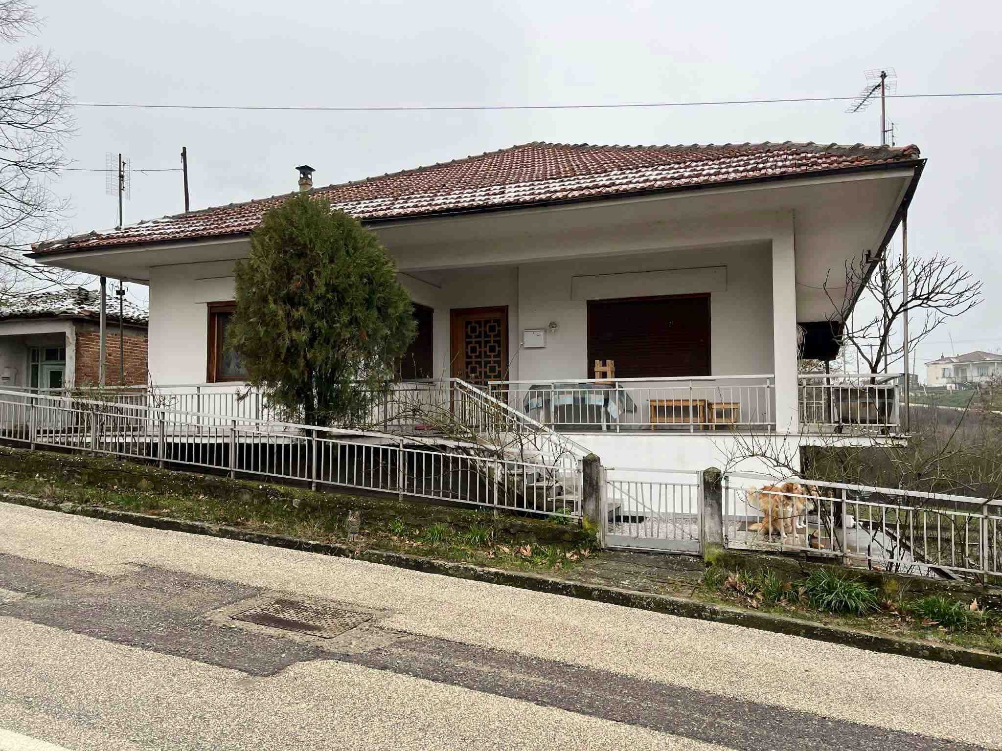 photo3