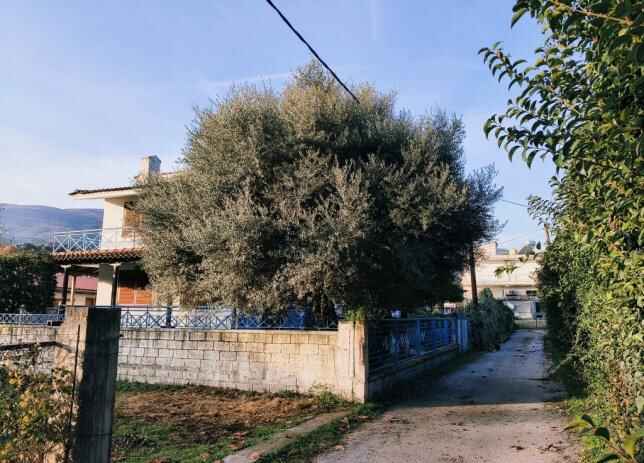 photo3